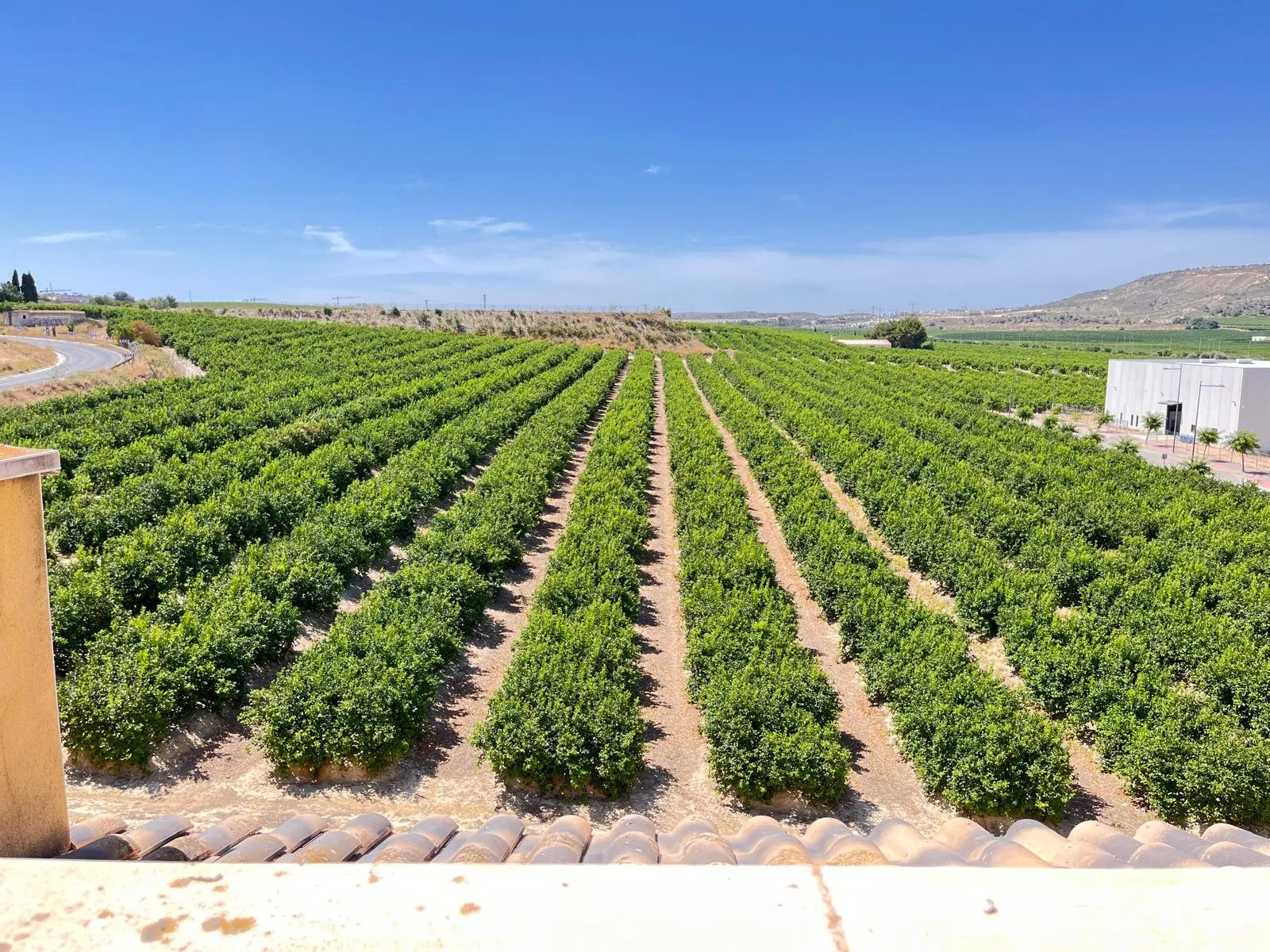 2-bedroom apartment in Algorfa in Algorfa